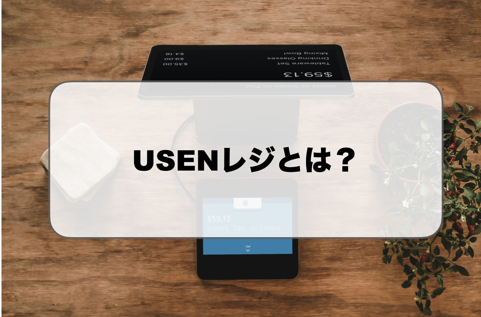 USENレジとは