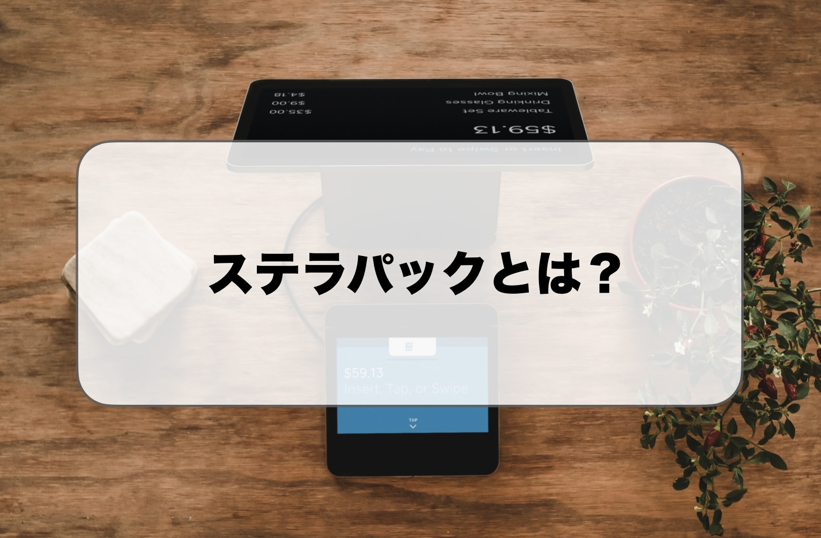 ステラパックとは