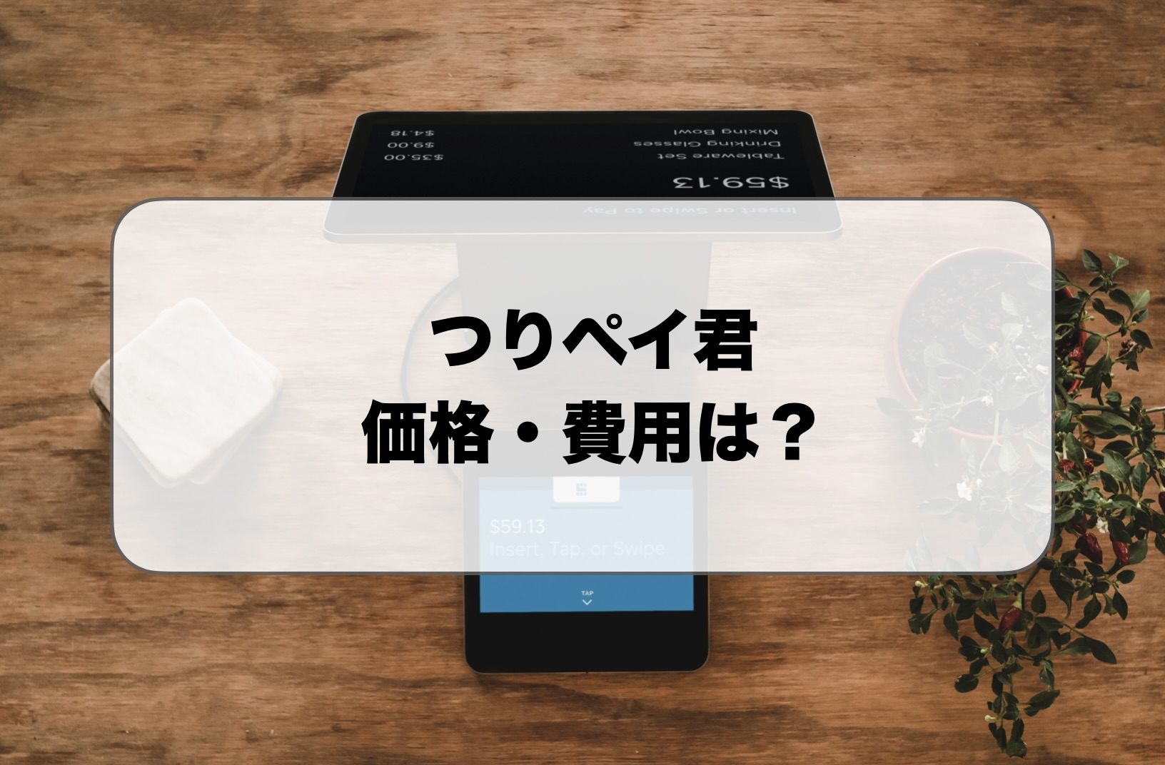 つりペイ君の価格・費用