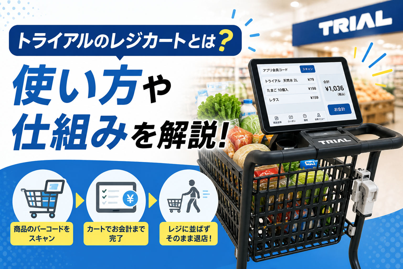 トライアルのレジカートとは